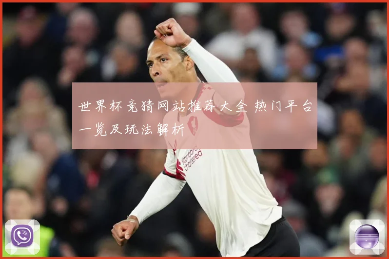 世界杯竞猜网站推荐大全 热门平台一览及玩法解析