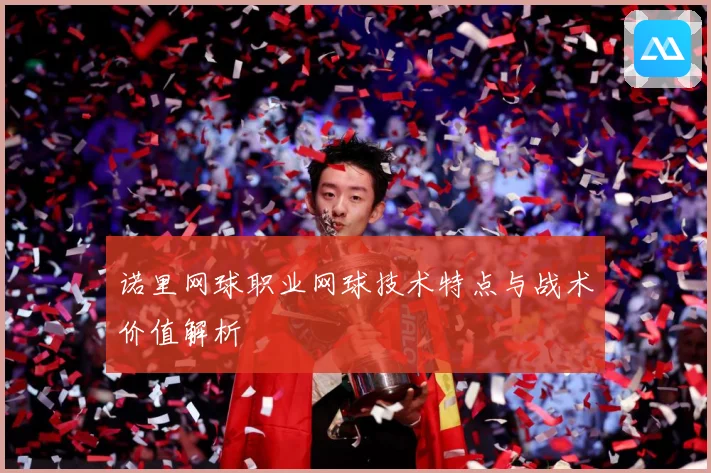 诺里网球职业网球技术特点与战术价值解析