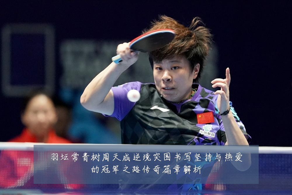 羽坛常青树周天成逆境突围书写坚持与热爱的冠军之路传奇篇章解析