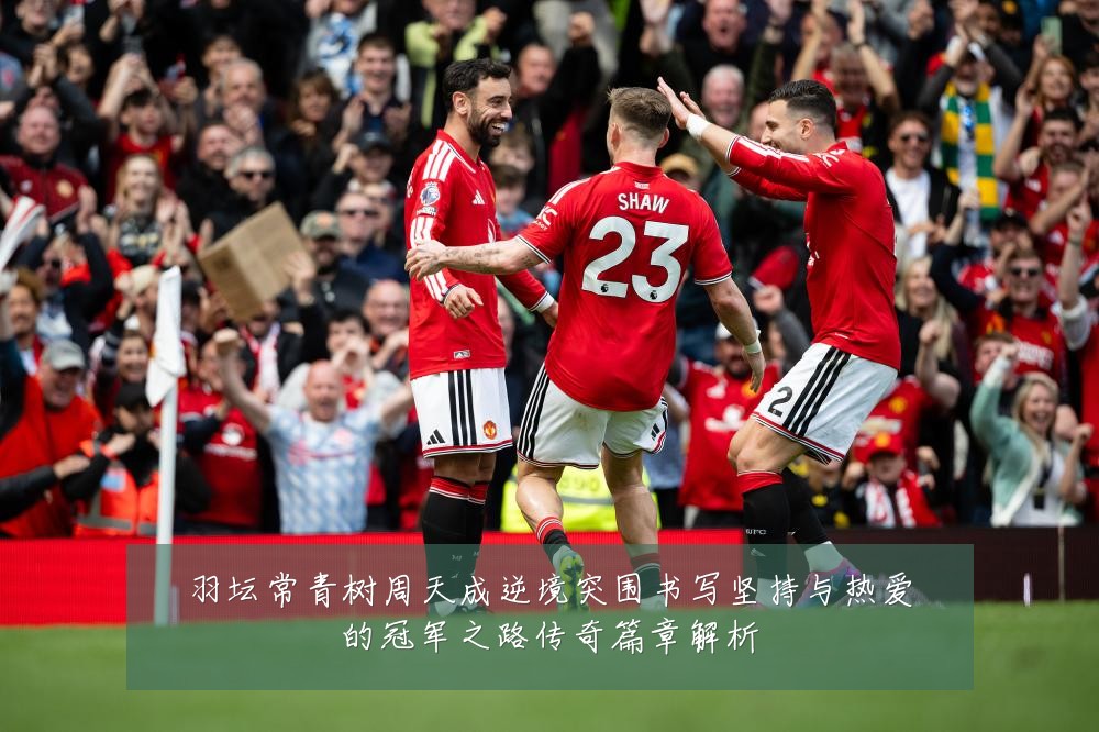 羽坛常青树周天成逆境突围书写坚持与热爱的冠军之路传奇篇章解析